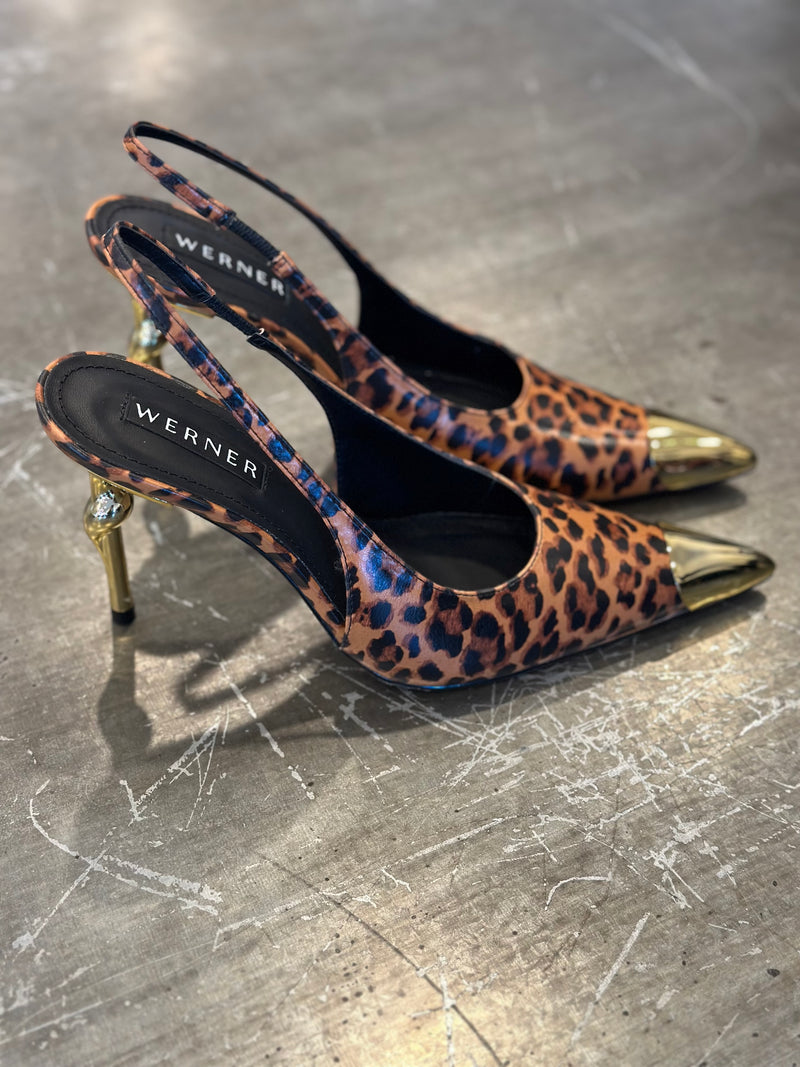 Slingback maculata werner
