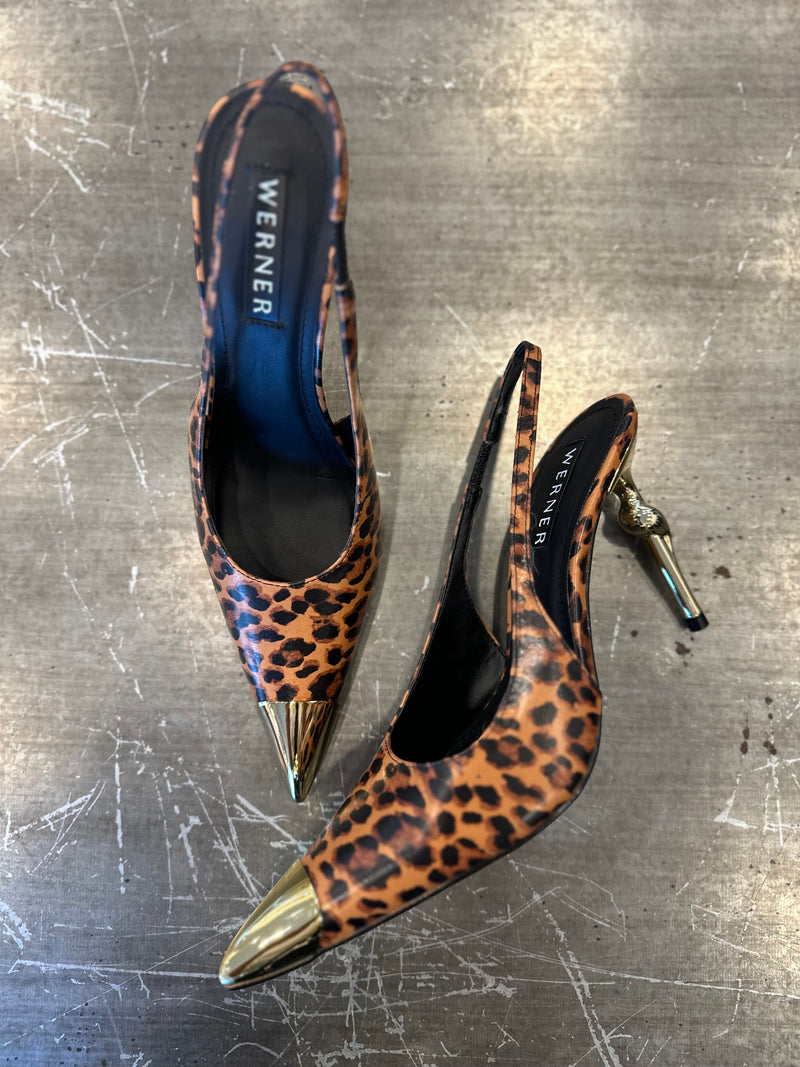 Slingback maculata werner
